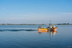 Find the Best Fishing Spots with Our App